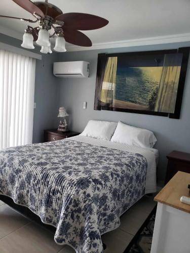 Bonita Bed & Breakfast | 23 m² Bed and breakfast ∙ 1 bedroom ∙ 2 guests