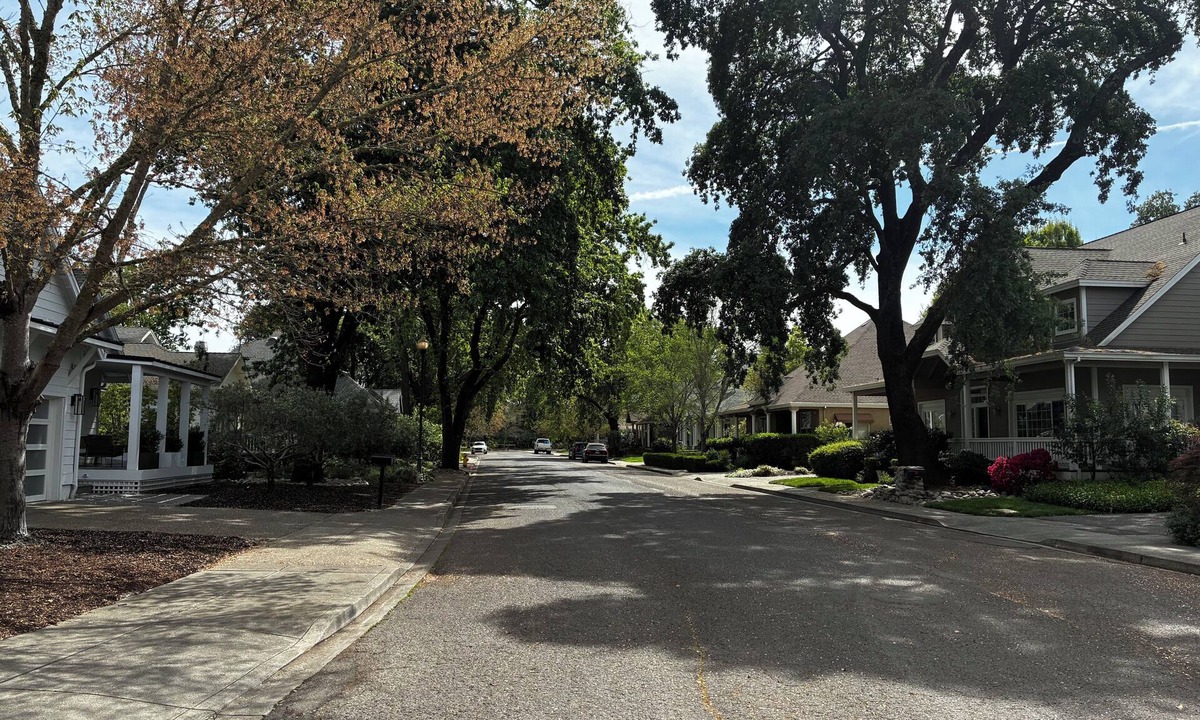 St. Helena House | Available the month September in St. Helena, the heart of the Napa Valley