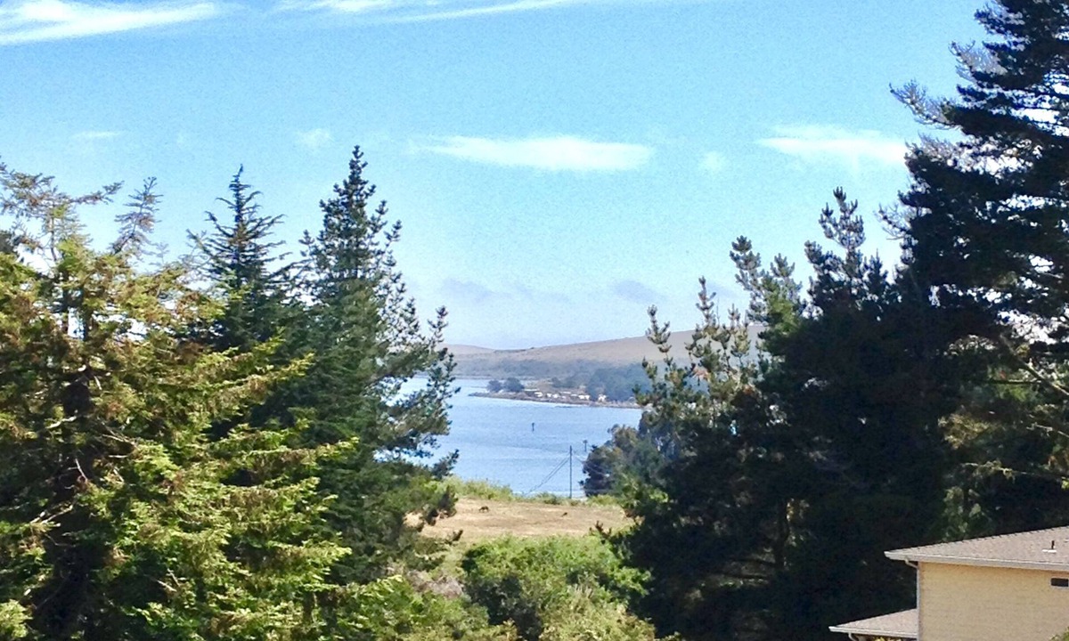 Bodega Bay House | BAY CANYON VIEW-CHARMING SINGLE LEVEL HOME- FENCED YARD + SPA-NEAR EVERYTHING!