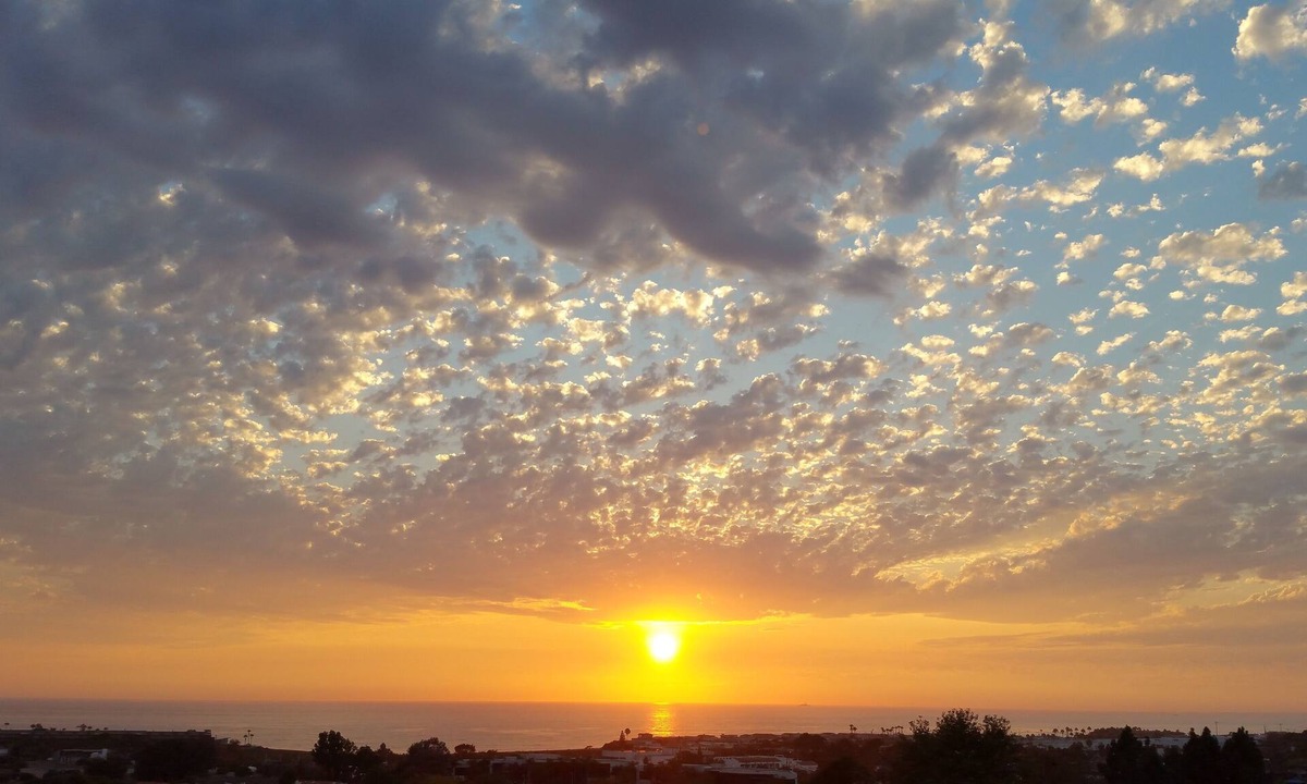 Aviara Condo | Bird Of Paradise Oceanview Penthouse
