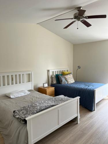 Carlsbad House | Cabana Cori