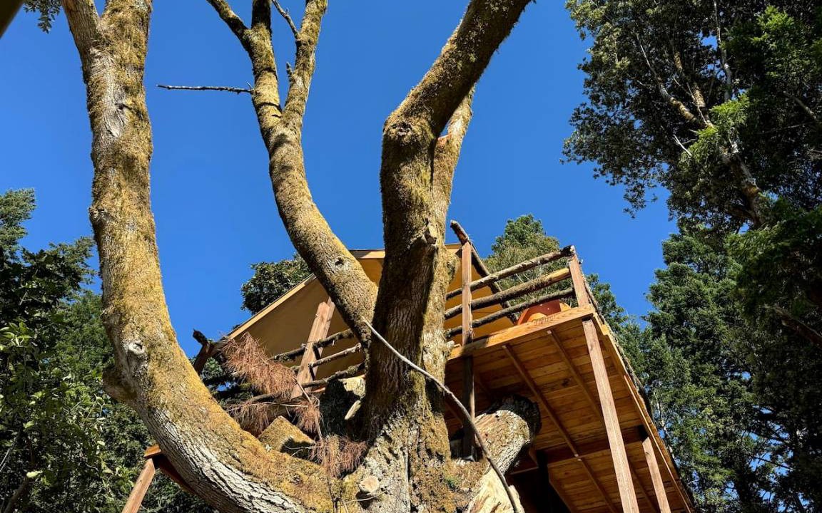 Redwood City Other | Camping ∙ 1 bedroom ∙ 4 guests