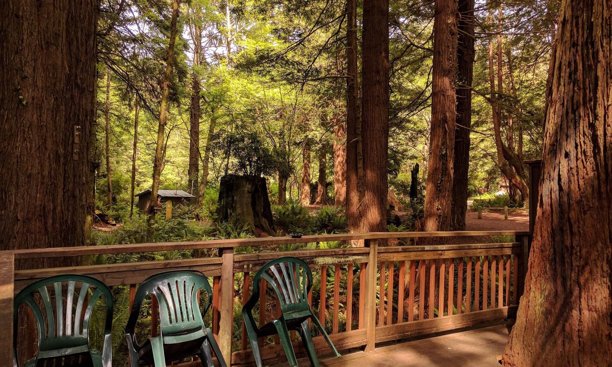 Trinidad Cabin | Emerald Forest Cabins