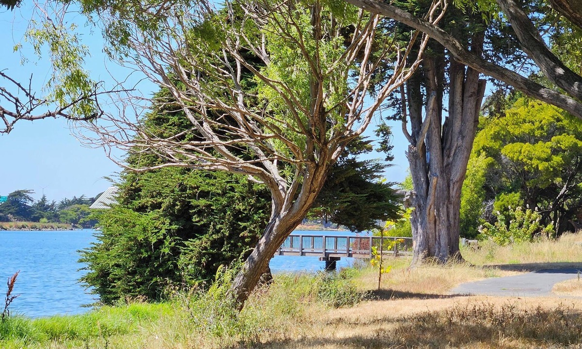 San Francisco Apartment | Enjoyable 1-bedroom in Emeryville, Marina views.