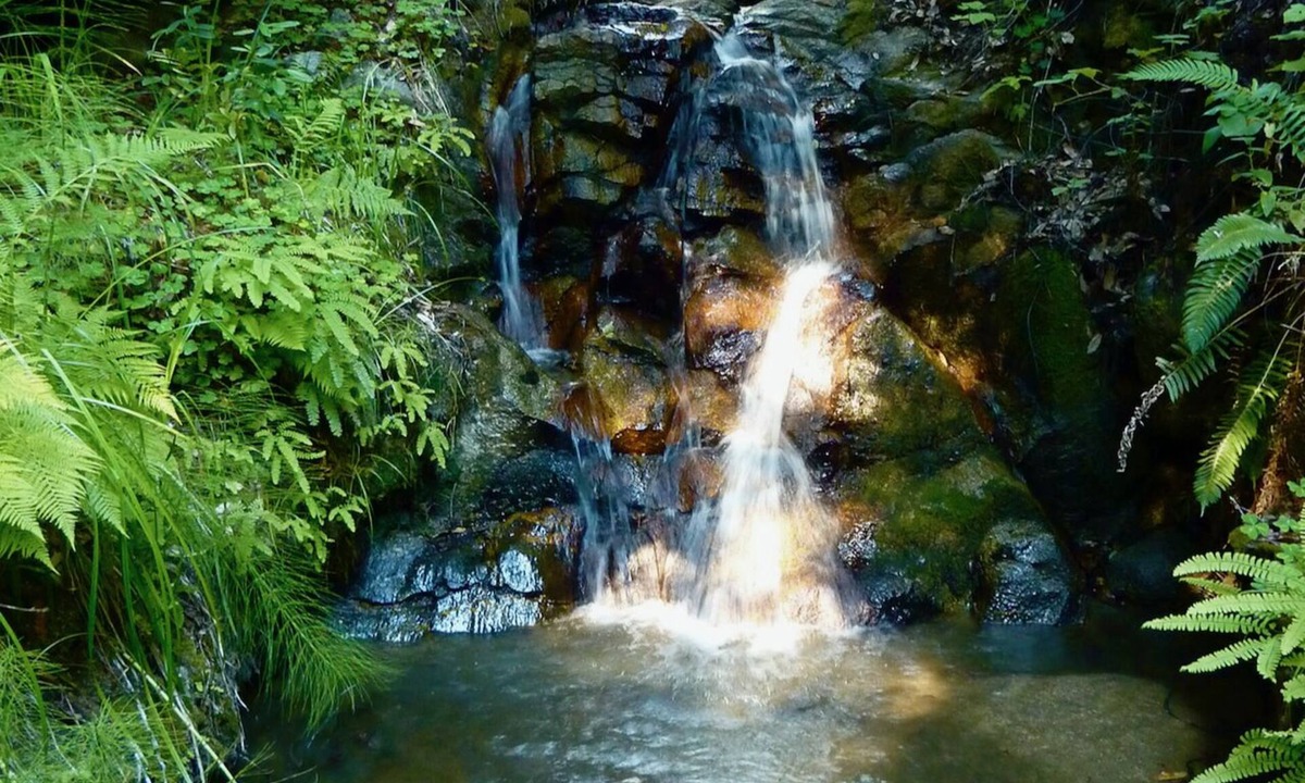 Carmel Cottage | Forest Cottage in Big Sur w/Private Hiking & Hot Tub