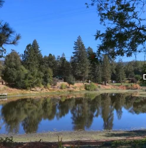 Oakhurst House | La Dolce Villa Pond Retreat in Yosemite