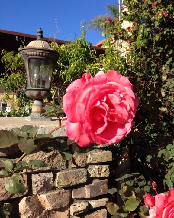 Leucadia Hotel | Leucadia Beach Inn