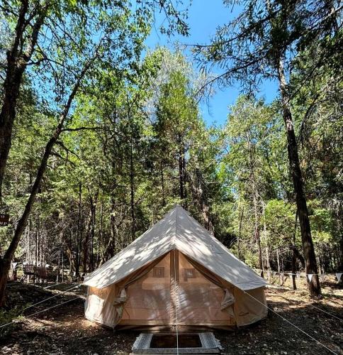 Burnt Ranch Other | Luxury Forest Glamping Retreat on the Edge of the National Forest, Burnt Ranch, CA