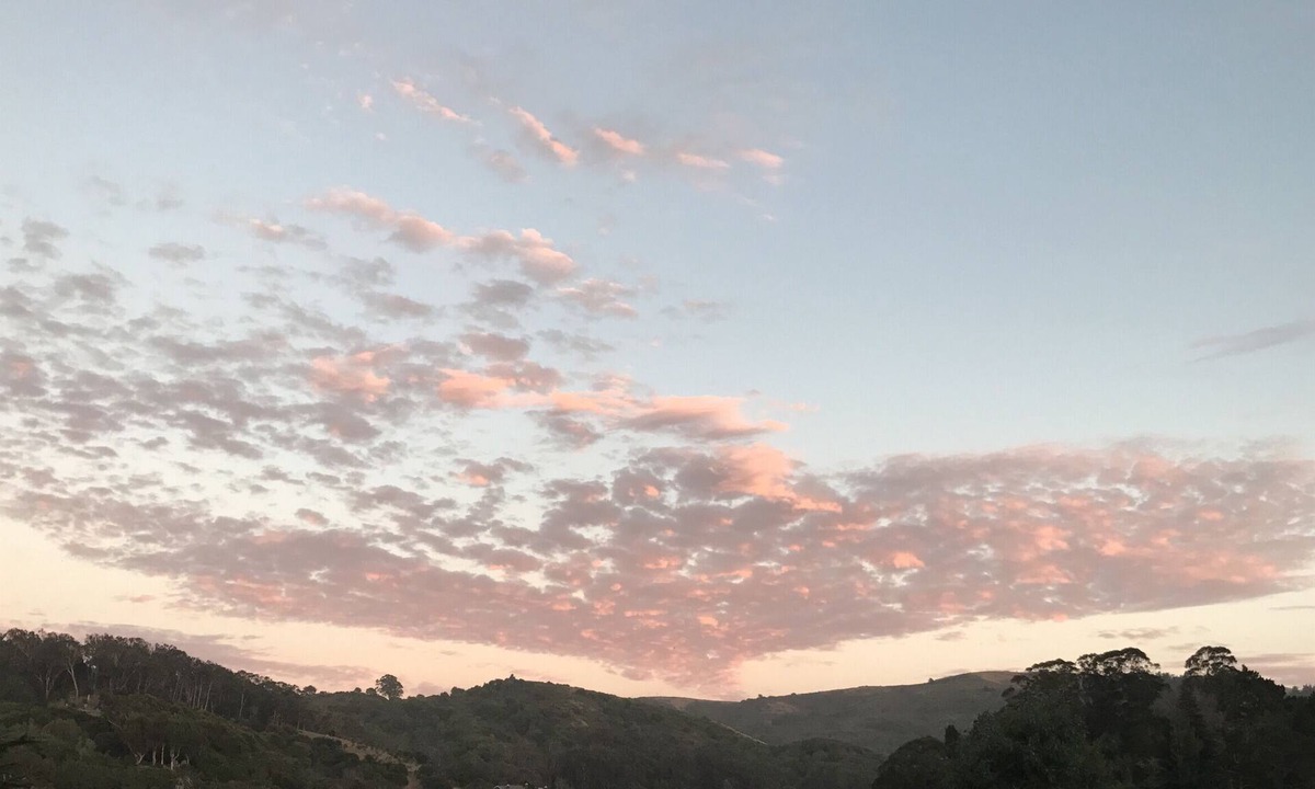 Tamalpais-Homestead Valley Apartment | Mill Valley: 15 Mins to SF, 10 Mins to Muir Woods
