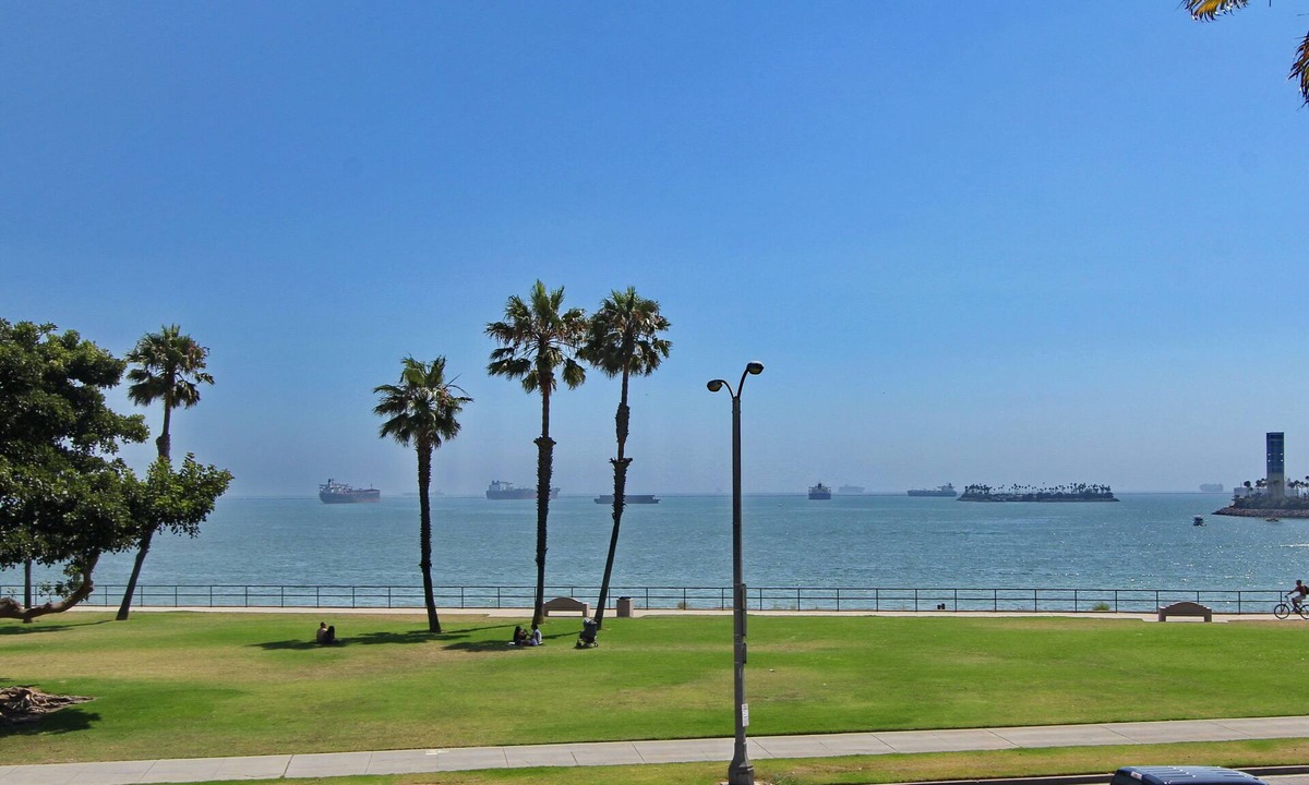 Bluff Park House | Oceanfront Luxury Oasis W/Jacuzzi, Gazebo, BBQ, Pizza Oven Gym, Gated Garden