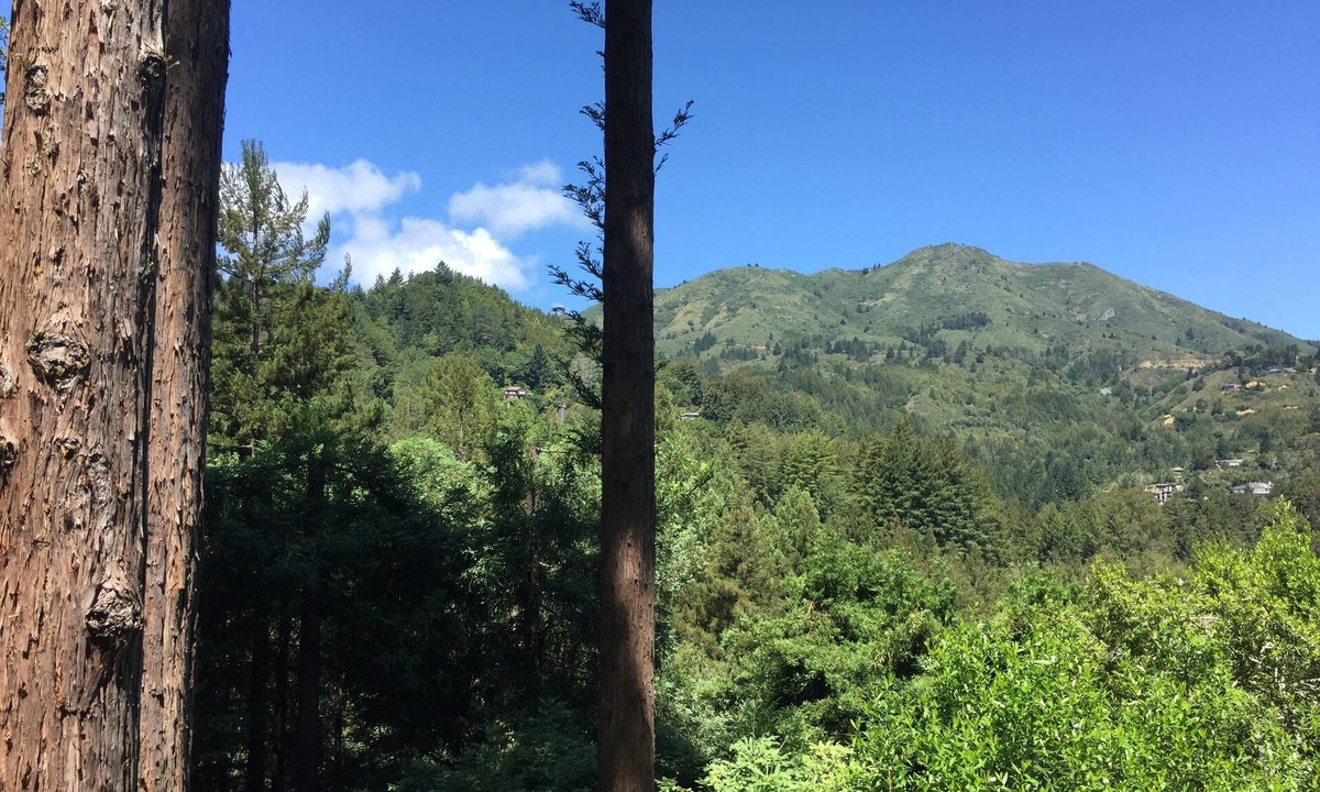 Mill Valley House | October sale! Beautiful Spacious, Private Mill Valley Home. Stunning view!