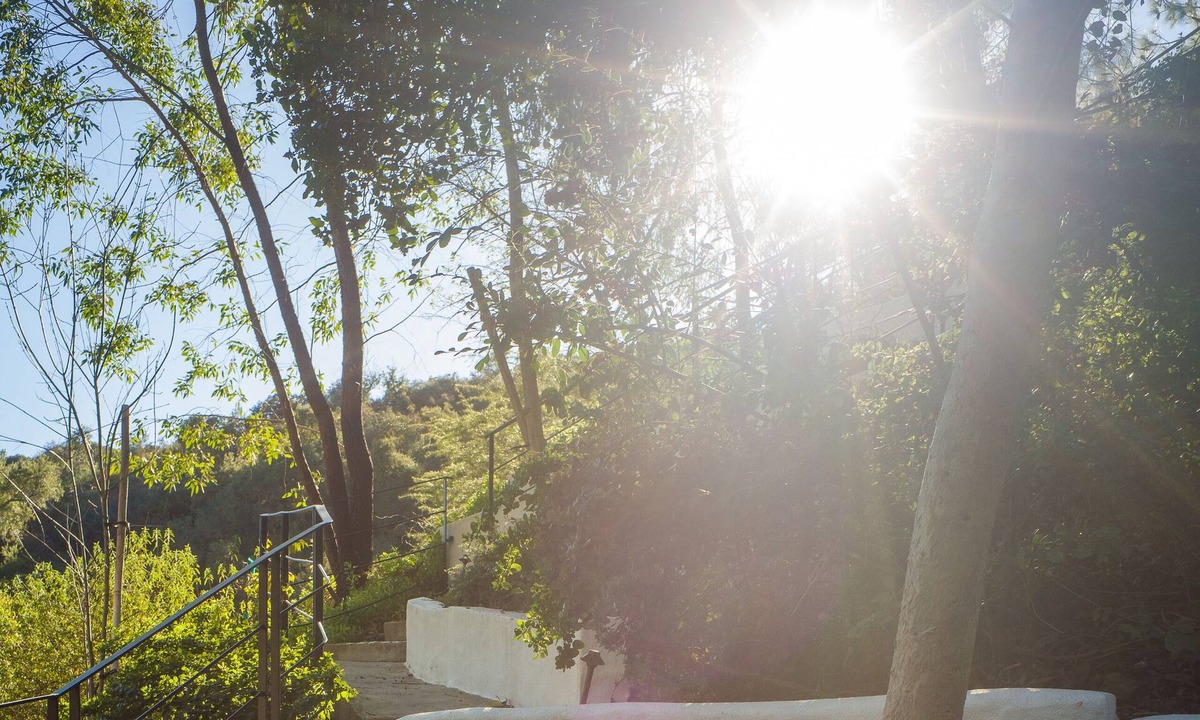 The Flats Villa | Peaceful Treehouse. Perched amongst the lush trees of Benedict Canyon.