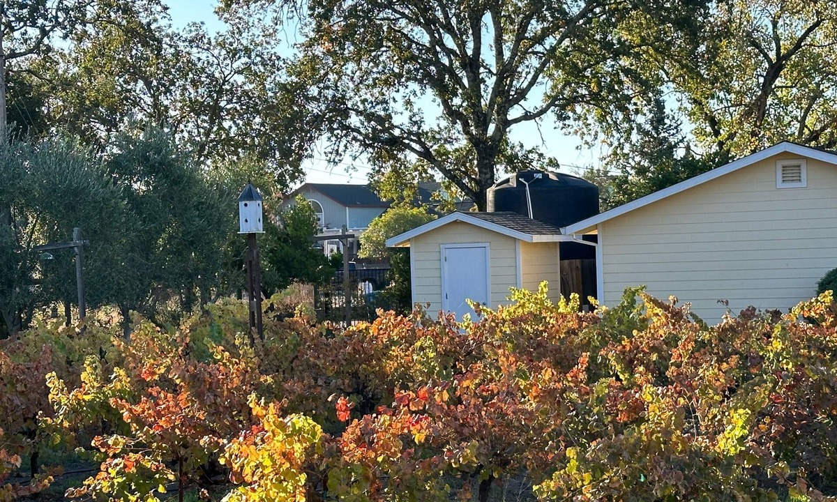 Windsor Cottage | Private Cottage 5 minutes from Downtown Healdsburg and Windsor on country lane