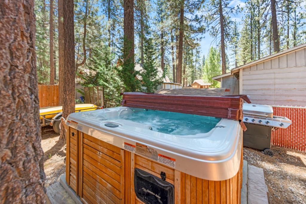 Escape All Seasons Bear | Big Bear City