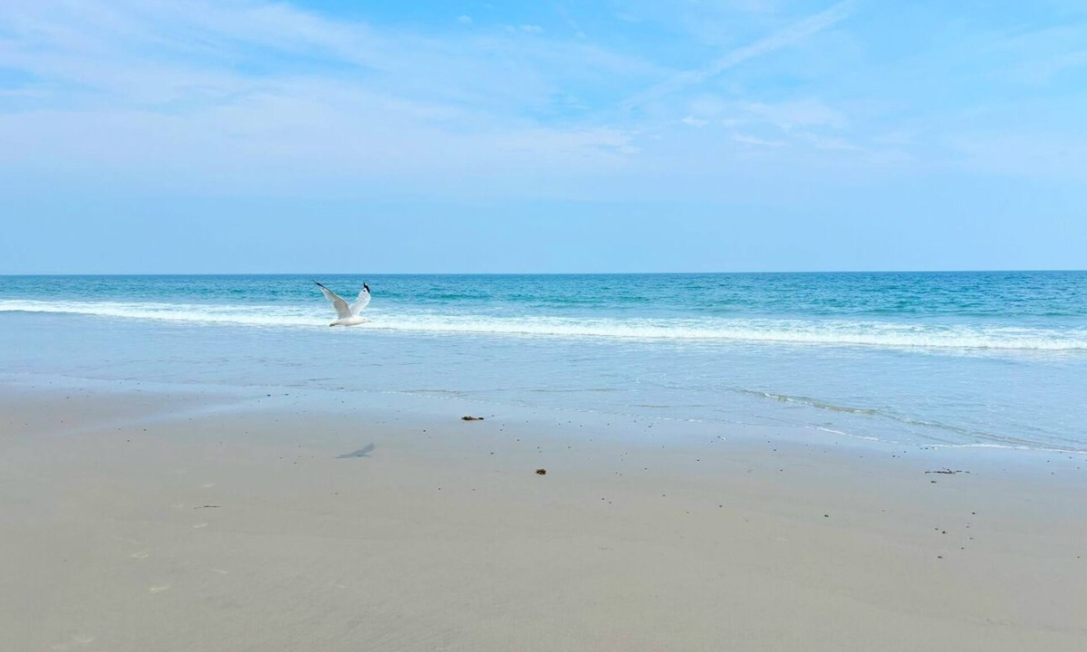 Hampton House | Steps to Beach seaside retreat. 3BR 2BA home where comfort meets charm;