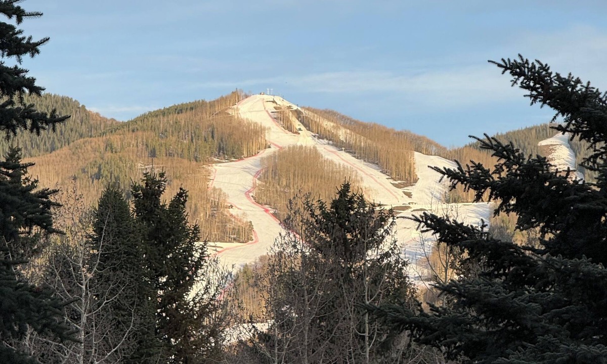 Vail Condo | Updated 1-bedroom condo in Vail with a view, designated free parking, free bus!
