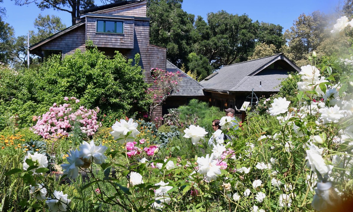 Inverness House | Van der Ryn Eco-Refuge: Architecture in Nature