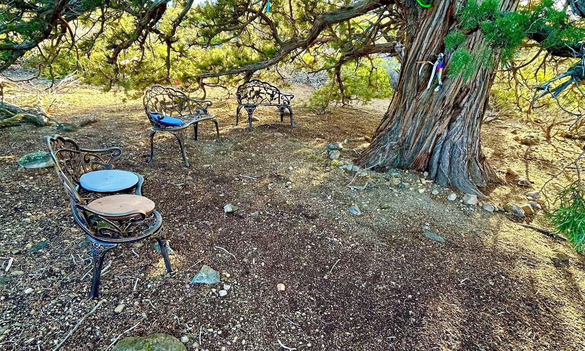 Weed House | Wonderland Retreat House at the Base of Mount Shasta