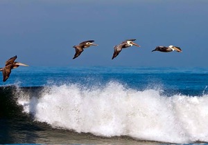 3-Star Hotel ∙ Hilton Garden Inn Carlsbad Beach
