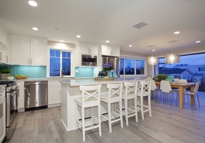 3565 - Luxurious, 50 feet to Ocean, roof deck