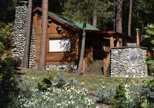 52 Tuolumne Meadow