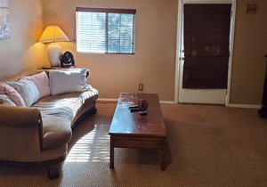 Blackbear Den at The Twin Peaks Lodge