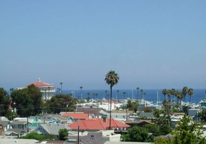 C59: Cozy Condo, Balcony W/Hillside & Ocean Views, 30 Mooring Available