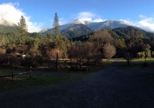 Cabin 5, Sandy Bar Ranch in Orleans