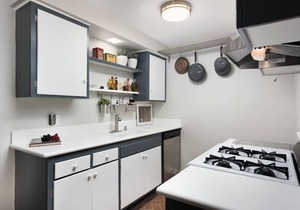 Centrally located, newly remodeled coastal elegance property with large outdoor living space
