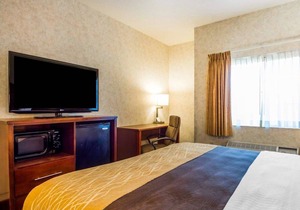Comfort Inn Watsonville