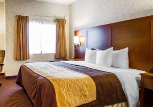 Comfort Inn Watsonville
