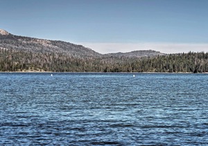 Cozy Choice Wood Cabin- 5 Minutes from Shaver Lake