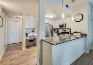 Luxurious Furnished Apartment + Private Garage