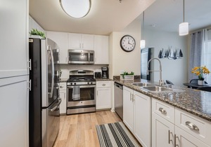 Luxurious Furnished Apartment + Private Garage
