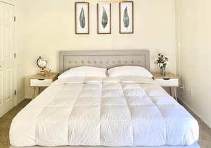 Luxury Sacramento Apartment, King Bed, Fast Wi-Fi