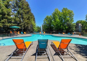 Modern Sacramento Apartment, King Bed, Fast Wi-Fi
