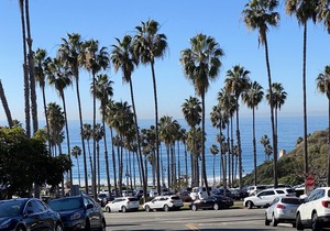 New OceanView TriLevel + Amazing Rooftop Terrace