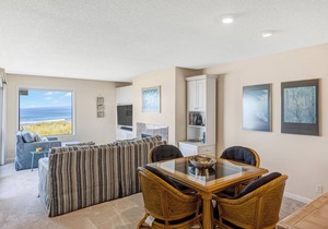 Ocean Front Condo Shorebirds 51