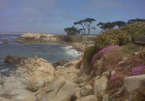 Pacific Grove, Calif. Large 2 bedroom, 2-bath, full kitchen.