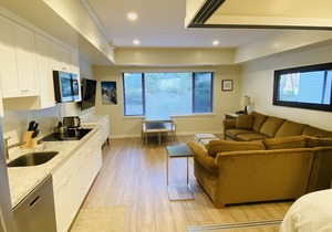 Palisades Tahoe Lodge: Remodeled slopeside condo w/kitchenette &/Ski Area View
