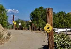 Red Rock Riding Ranch House #1