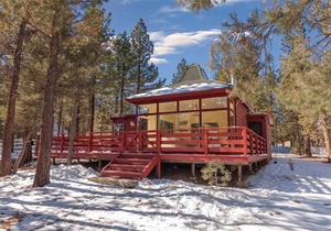 Redwood Elegance - FREE Kayak, Bike or Paddle Board Rental! 2BR/2BA/WiFi/Smart TV/Forest Views