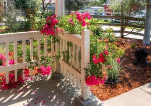 Serene Bungalow-Style Home in Point Reyes Station!