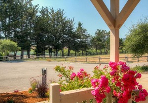 Serene Bungalow-Style Home in Point Reyes Station!