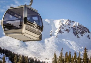 Timberline 35