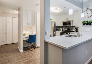 Upscale, Furnished Apartment + Private Garage
