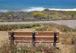 Wonderful Cambria Oceanview Home Within Walking Distance to the Sea
