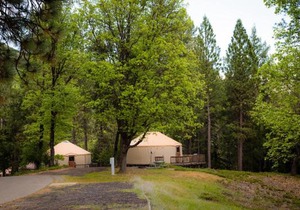 Yosemite Lakes Hillside Yurt 5