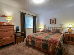 Timberline | Mammoth Lakes