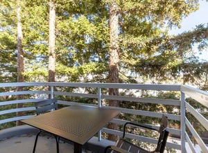 Cupertino | Cupertino